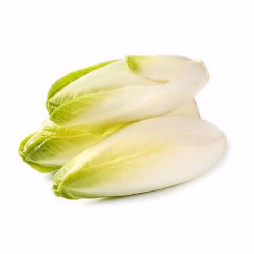 Endives White Chicory 500g Netherlands